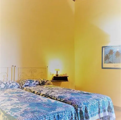 San Giuseppe & Ciclamino *