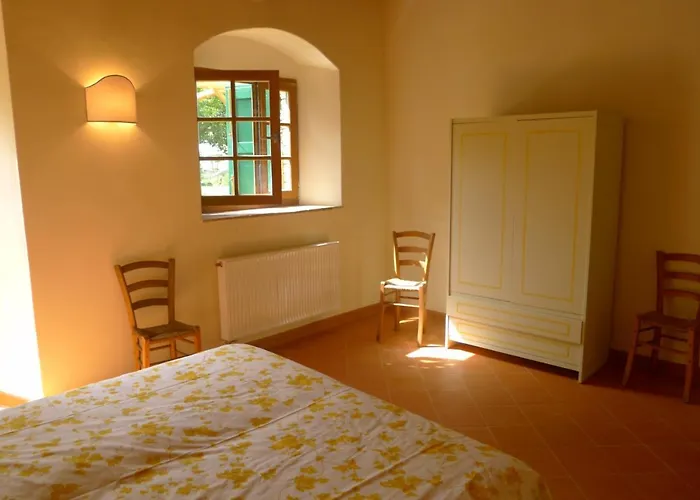 San Giuseppe & Ciclamino * Castelnuovo di Val di Cecina