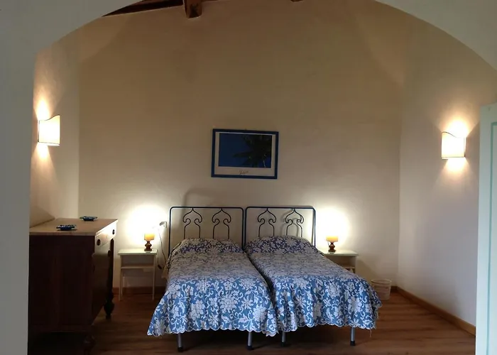 San Giuseppe & Ciclamino * Castelnuovo di Val di Cecina